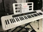 Seminuova TASTIERA CASIO 5 ottave