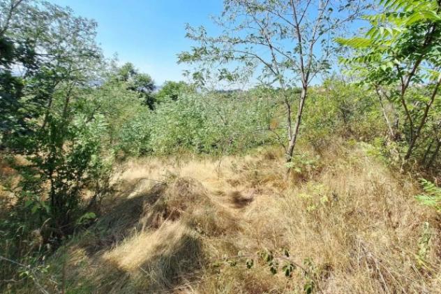 Immobile in asta di 27173 m² in vendita a Macerata - Foto 9