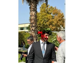 Ripetizioni di Matematica e Fisica