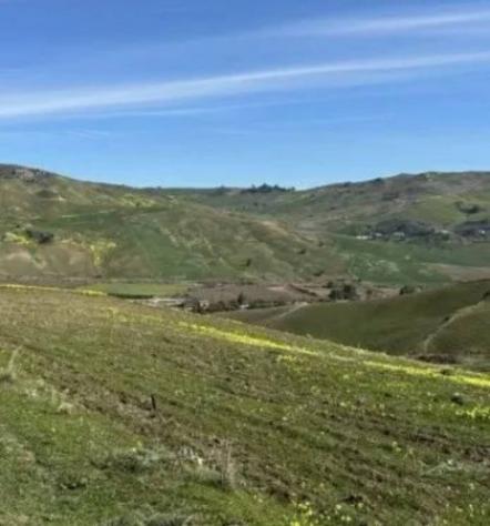 Immobile in asta di 31288 m² in vendita a Castronovo di Sicilia - Foto 2