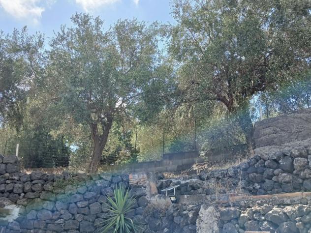 Agricolo in vendita a Misterbianco - Foto 12