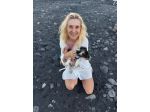 Servizio di Dog Sitter Offresi