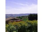 Agriturismo Felciano