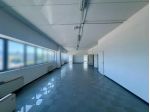 Locale comm.le/Fondo in affitto a Ospedaletto - Pisa 306 mq  Rif: 1276361