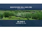 Immobile in asta di 17155 m² in vendita a Montefiore dell'Aso
