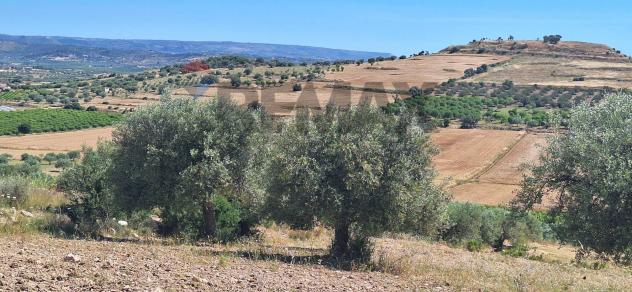 Terreno in vendita a Noto - Foto 10