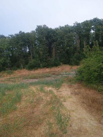 Rustico in vendita a Peccioli 200 mq Rif: 1426015 - Foto 10