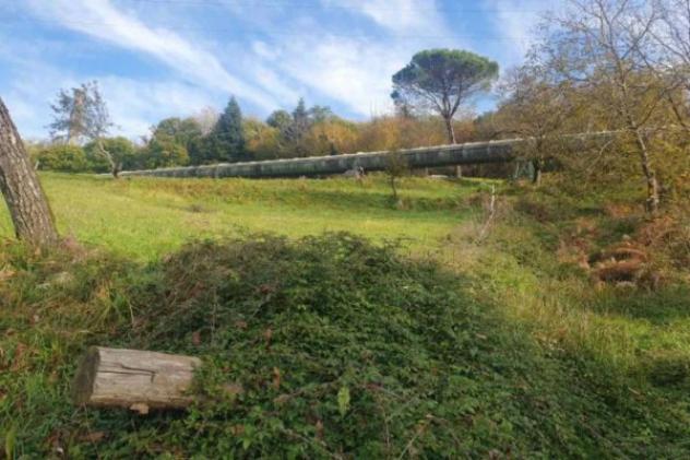Immobile in asta di 174275 m² in vendita a Pieve Fosciana - Foto 3