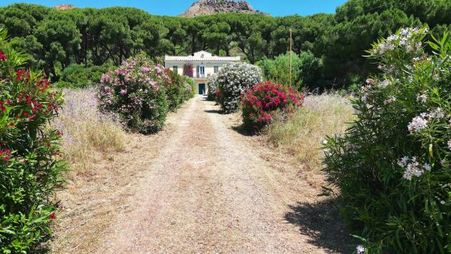 Casale in vendita a Porto Azzurro - Foto 20