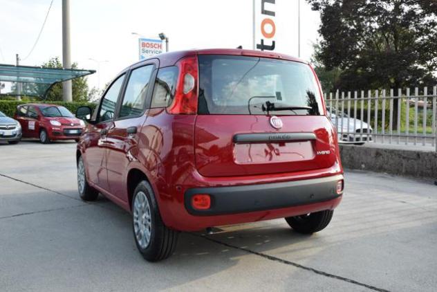 FIAT Panda 1.0 Firefly Hybrid Icon S&S 65cv *5posti* rif. 24102648 - Foto 4