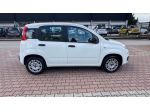 FIAT New Panda 1.2  S.&S. E6D-TEMP EASY 5 POSTI GUIDABILE NEOPA rif. 23669467