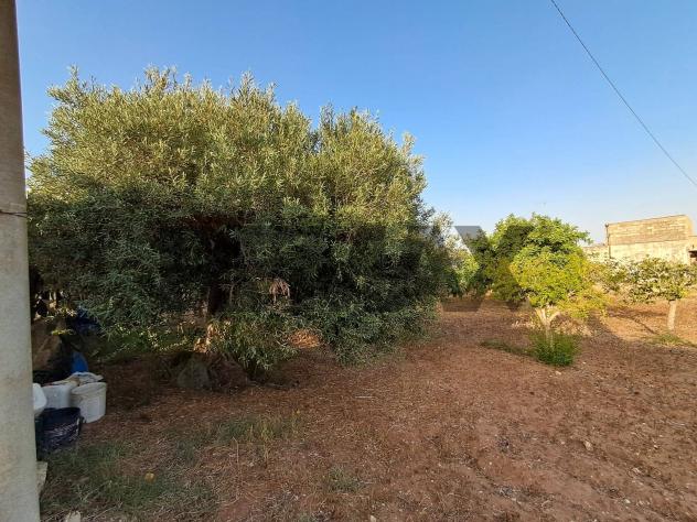 Villa o villino in vendita a Ragusa, Punta Braccetto - Foto 19