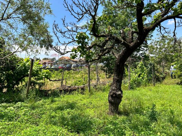 Terreno in vendita a Aci Sant'Antonio - Foto 10
