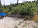 Collinaia terreno agricolo mq.4000
