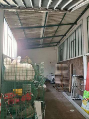 Immobile in asta di 1761 m² in vendita a Pesaro - Foto 4