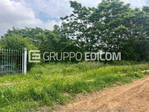 Terreno di 6530 mq in vendita a Alessandria - Rif. 4555819 - Foto 2