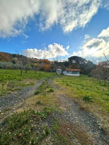 Terreno agricolo in vendita a Castellina Marittima 2000 mq Rif: 1386396 - Foto 3