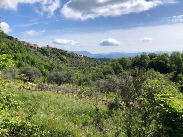 Agricolo di 95000mq - Foto 15