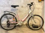 Bicicletta da donna