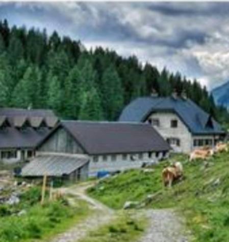 Immobile in asta di 270 m² in vendita a Paularo - Foto 8