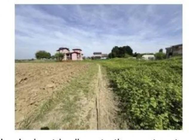Immobile in asta di 5923 m² in vendita a Nogara - Foto 4