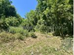 TERRENO AGRICOLO E BOSCO