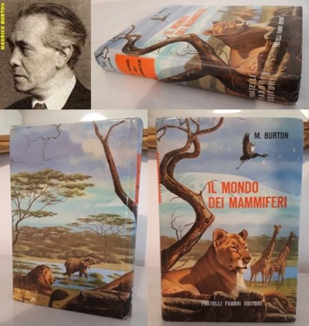 IL MONDO DEI MAMMIFERI, MAURICE BURTON, FRATELLI FABBRI EDITORI 1963.