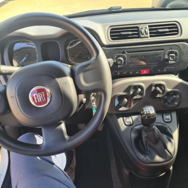 FIAT Panda 1.2 Pop rif. 23795054 - Foto 10