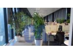 Ufficio a Assago - Rif. ULAAN3316