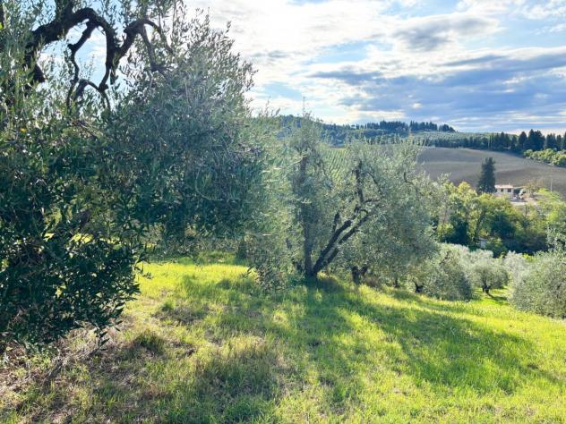 Terreno agricolo in vendita a Martignana - Empoli 5300 mq Rif: 1351258 - Foto 2