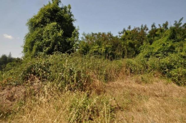 Immobile in asta di 42000 m² in vendita a Foligno - Foto 7