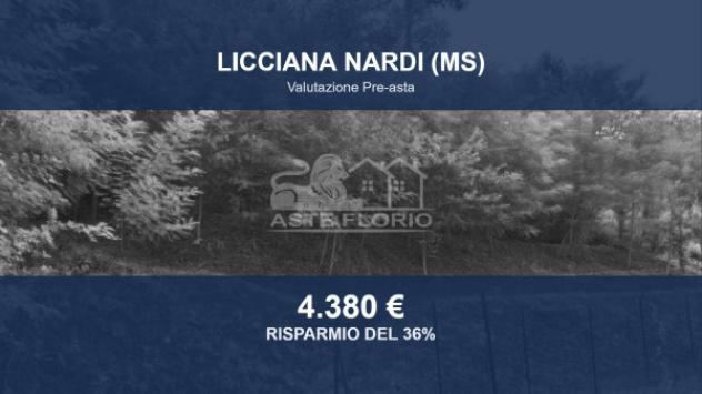 Immobile in asta di 2755 m² in vendita a Licciana Nardi