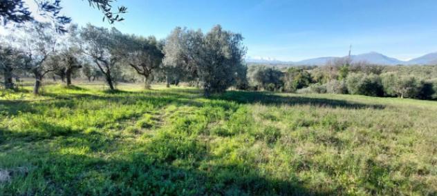 Immobile in asta di 6583 m² in vendita a Nereto - Foto 9