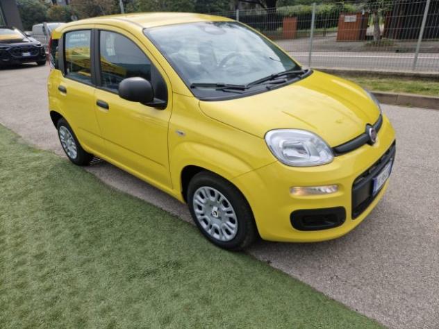 FIAT Pandina 1.0 FireFly 65 CV Hybrid Pop rif. 23516551 - Foto 7
