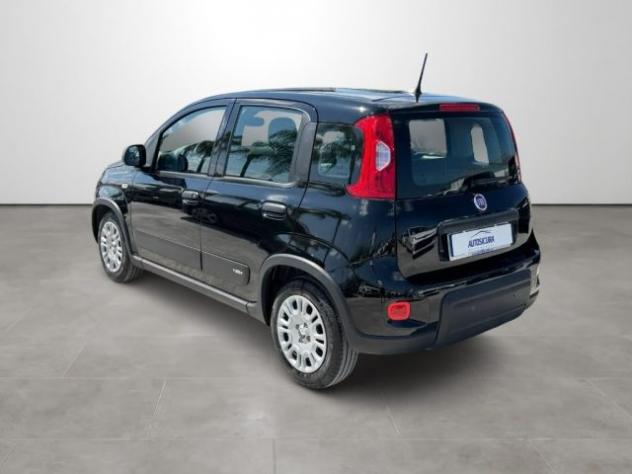 FIAT Panda 1.0 FireFly S&S Hybrid rif. 23891750 - Foto 6