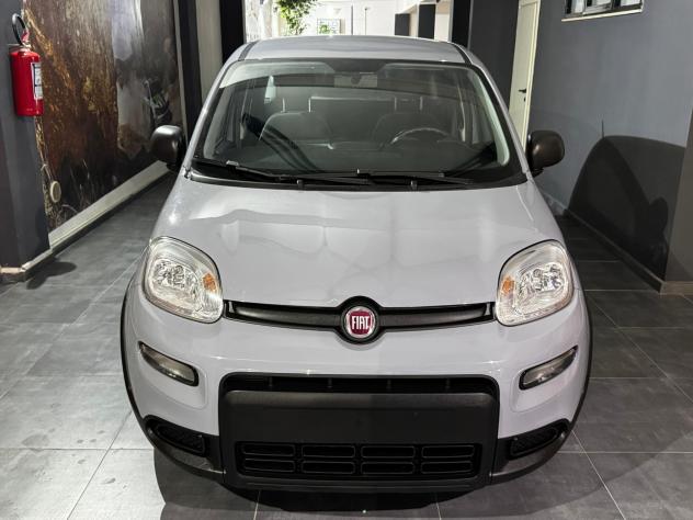 Fiat Panda 1.0 FireFly S&S Hybrid 70cv KM 20'277 - Foto 2