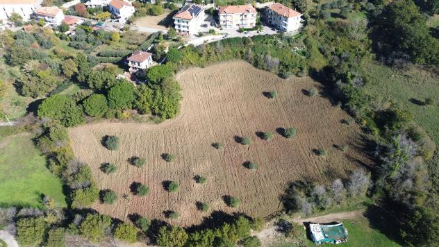 Agricolo in Via Fontanelle - Foto 4