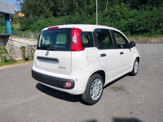 FIAT Pandina 1.0 FireFly 65cv S&S Hybrid Icon con comandi al volante!! - Foto 6