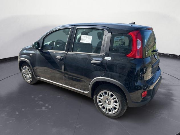 FIAT Panda 1.0 firefly hybrid s&s 70cv - Foto 3
