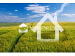 TERRENO AGRICOLO di 5328 mq (ASOLO) rif. BL1