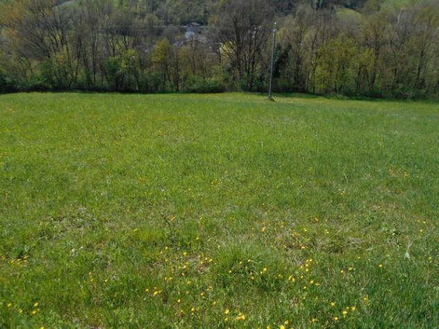 Immobile in asta di 10522 m² in vendita a Scandiano - Foto 2