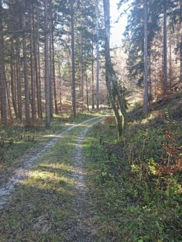 Tre baite con 22.000mq di terreno e bosco - Foto 6
