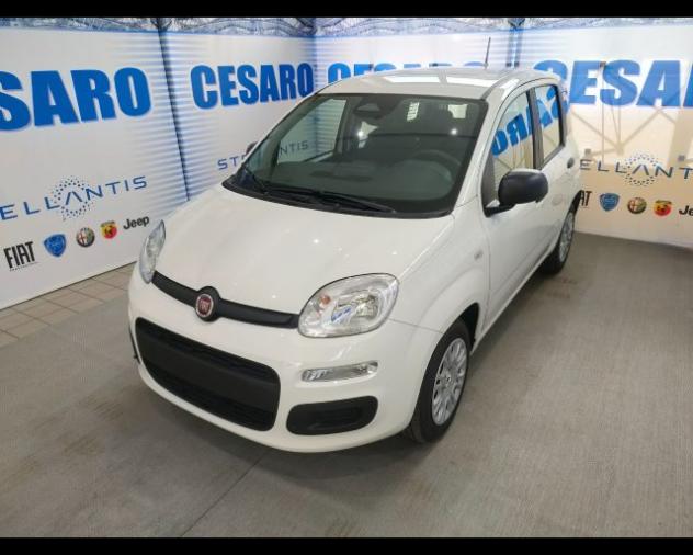 FIAT Panda 1.0 firefly hybrid Icon s&s 70cv 5p.ti rif. 23778993 - Foto 2