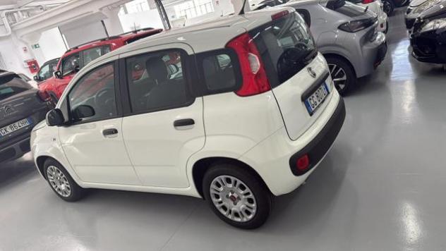 FIAT Panda 1.0 FireFly S&S Hybrid rif. 23944165 - Foto 2