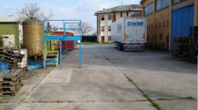 Immobile in asta di 2145 m² in vendita a Casalmaggiore - Foto 6