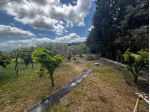 Villa bifamiliare - Narcao . Rif.: Cod. rif 3248644VRG