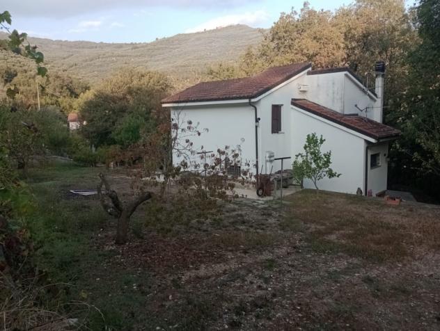 VENDESI A CHIUSAVECCHIA CASA INDIPENDENTE IN OTTIMO STATO CON GARAGE E GRANDE TERRENO DI OLTRE 4000 MQ - Foto 5