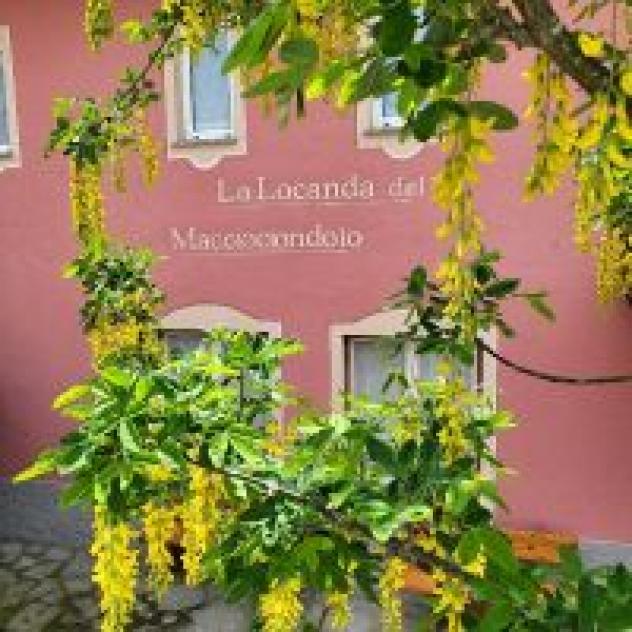 La locanda del Maggiociondolo