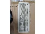 R81 - TASTIERA PER PC - OTRONIX CORPORATION