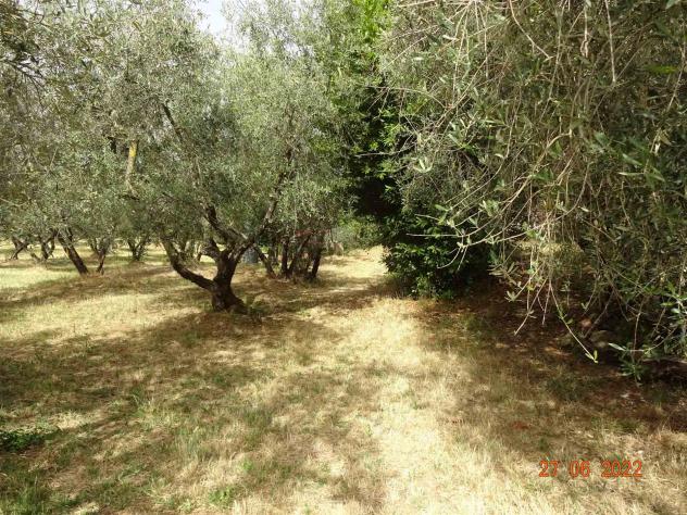 Terreno agricolo in Vendita in zona LECCIO con giardino - Foto 7